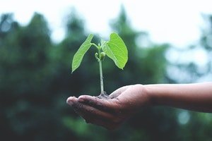 Startup CRM Software